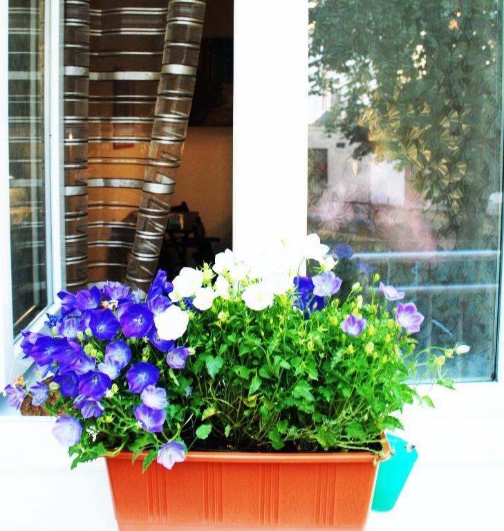 Apartment 5 Min By Walk To The Center Brno Exterior foto